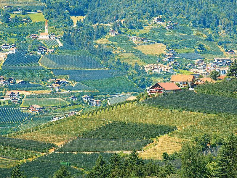 Pension Zum Burggraefler Schenna Exteriör bild